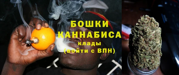 ГАЛЛЮЦИНОГЕННЫЕ ГРИБЫ Снежногорск